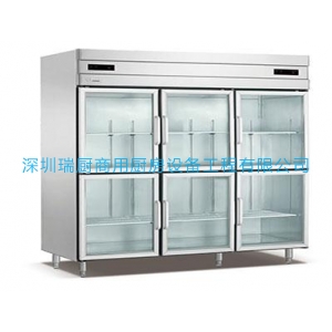六玻璃門高身雪柜